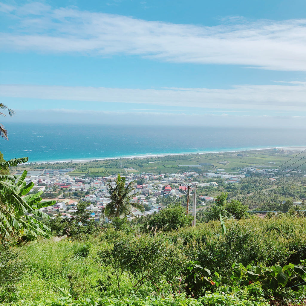 パイワン族刺繍・陳媽媽工作室 <幸運花>